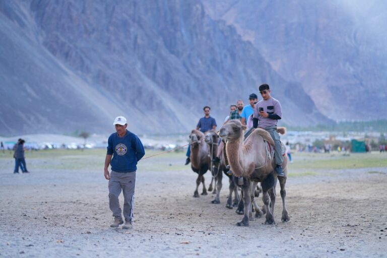 Explore the World with Expert Guides at JourneyCareNavigator