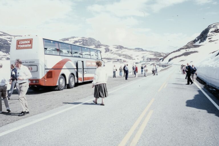 Find Your Perfect Tour Guide for Any Destination Today