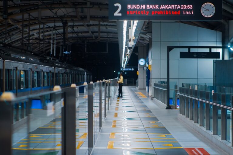 Navigate Your Travels with Professional Guides by Your Side